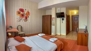Отель Hotel Ostoja Bobowa Двухместный номер с 1 кроватью или 2 отдельными кроватями-6